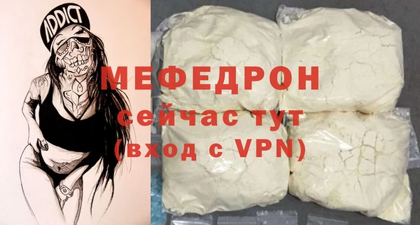 трава Няндома