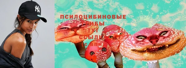 mdpv Алексин