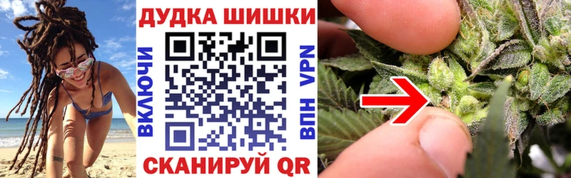 Конопля Amnesia где можно купить наркотик Махачкала